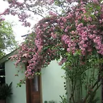 A Casa Della Zia