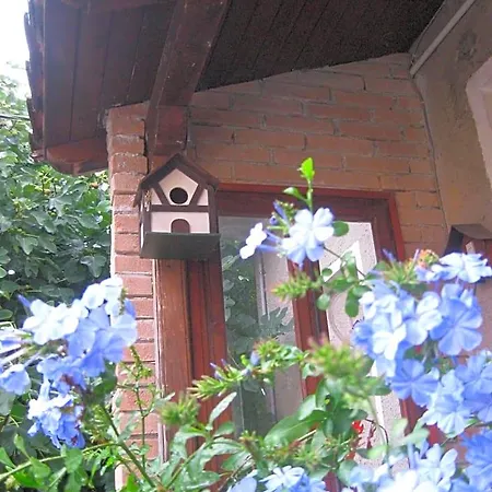 A Casa Della Zia Frühstückspension Farra di Soligo