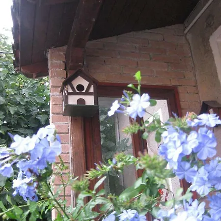 Frühstückspension A Casa Della Zia 3*