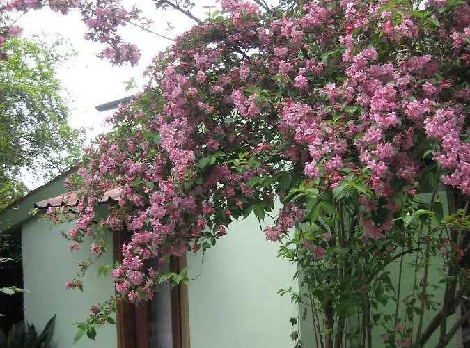 A Casa Della Zia
