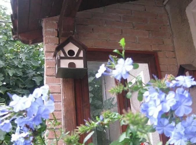 Bed & Breakfast A Casa Della Zia 3*